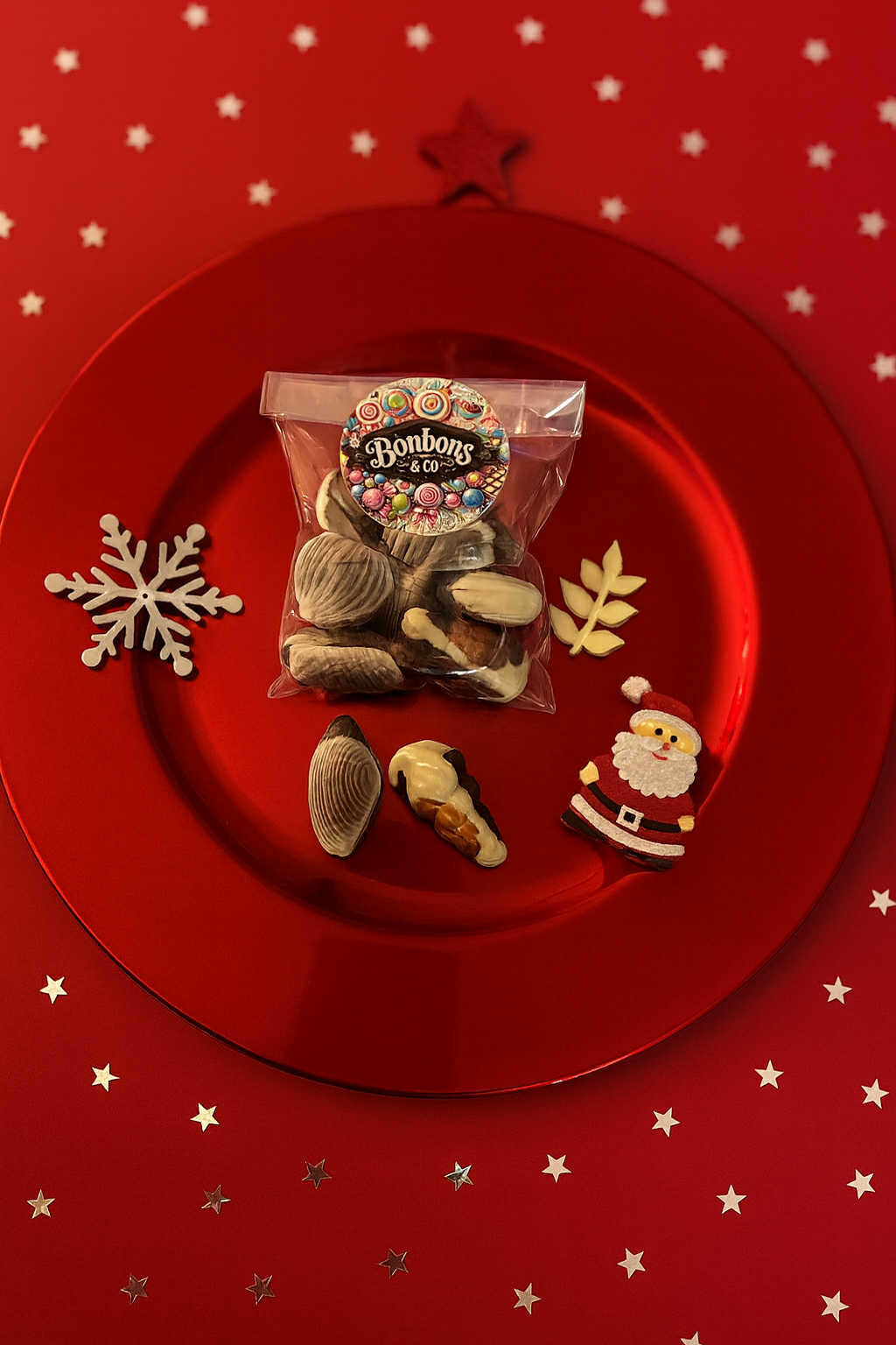 Fruits de mer chocolat et praliné 100 grs